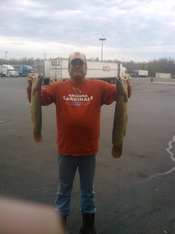 Bowfin in KY near Hendron