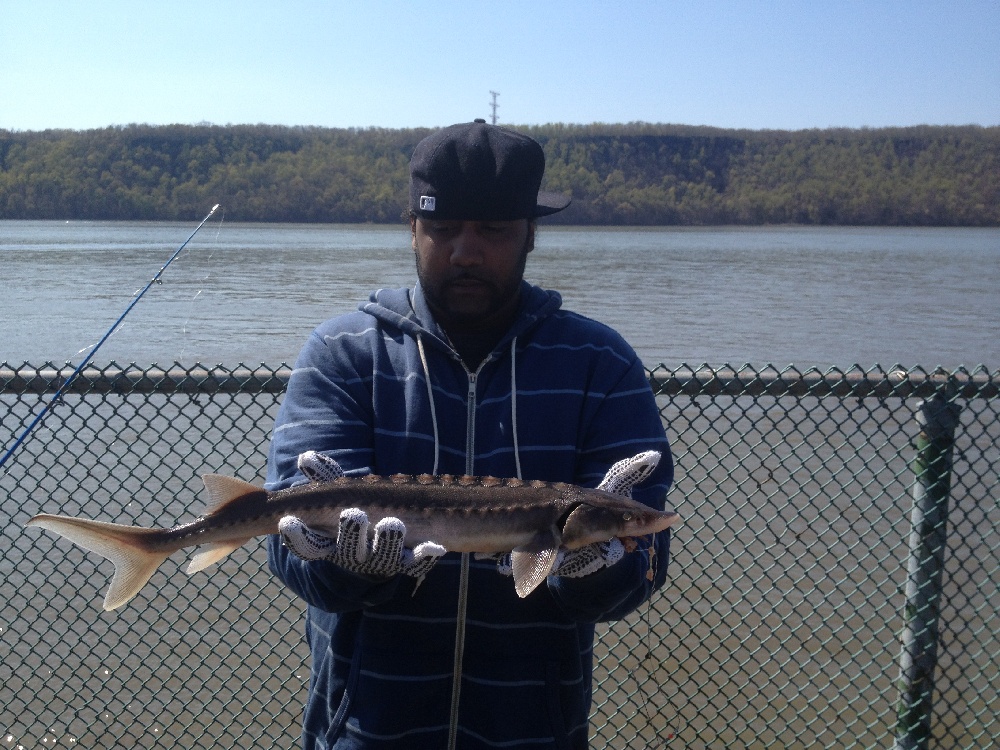 sturgeon catcher