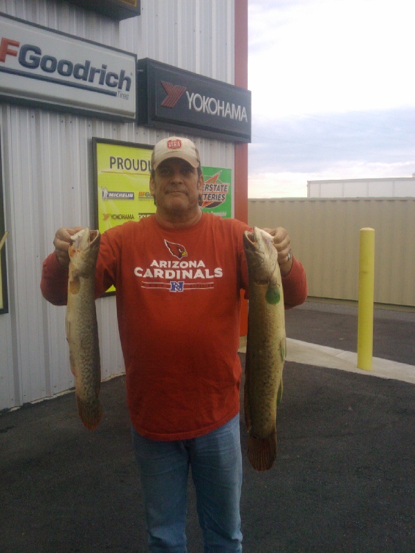 Bowfin in Ky near Calvert City