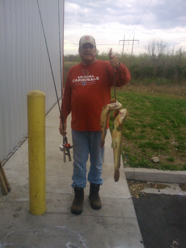 Bowfin in KY near Dycusburg