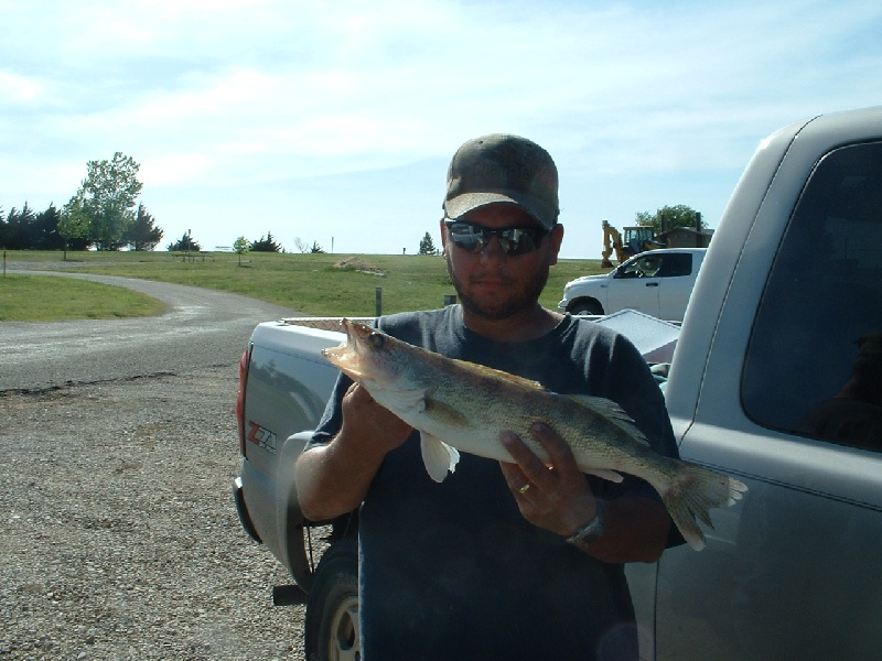 Walleye