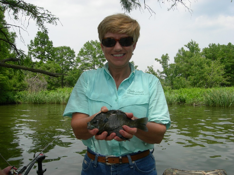 Reelfoot Bluegills near Hickman