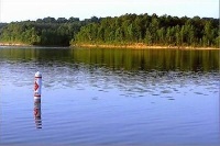 Barren River Lake