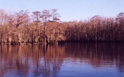 Buckhorn Lake