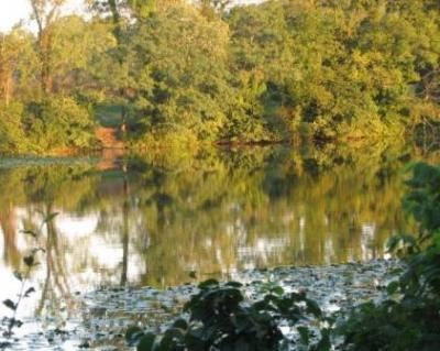 North Fork Licking River