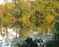 North Fork Licking River